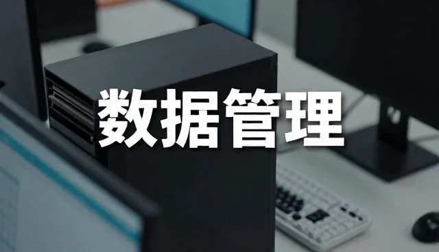 制造业数据管理系统选型中地区因素的关键影响