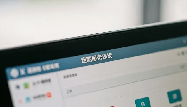 系统集成本地化适配中的使用场景与维护建议